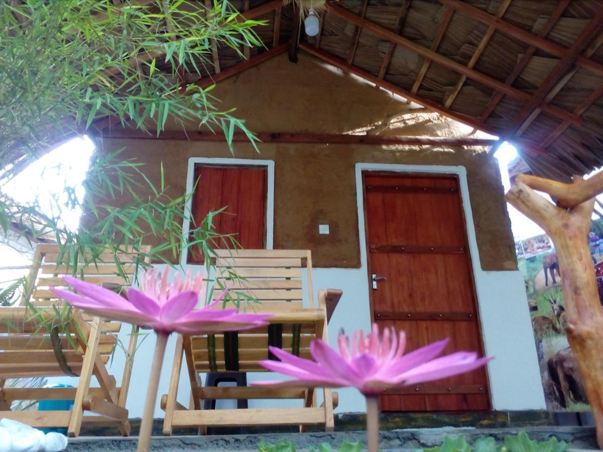Nature Lovers Safari & Villa Udawalawe Eksteriør billede